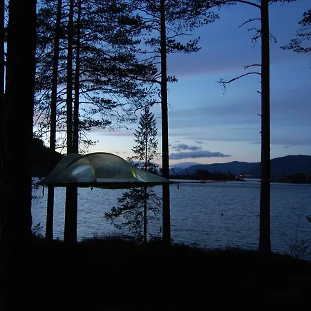 Nisser Hyttegrend Og Hytte Fjone