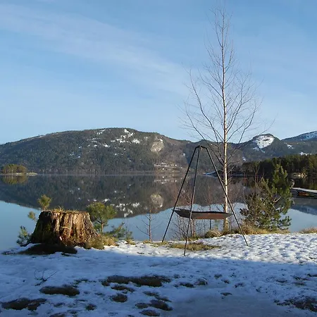Hytte Nisser Hyttegrend Og Fjone