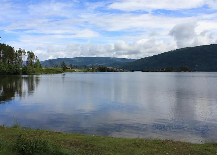 Nisser Hyttegrend Og