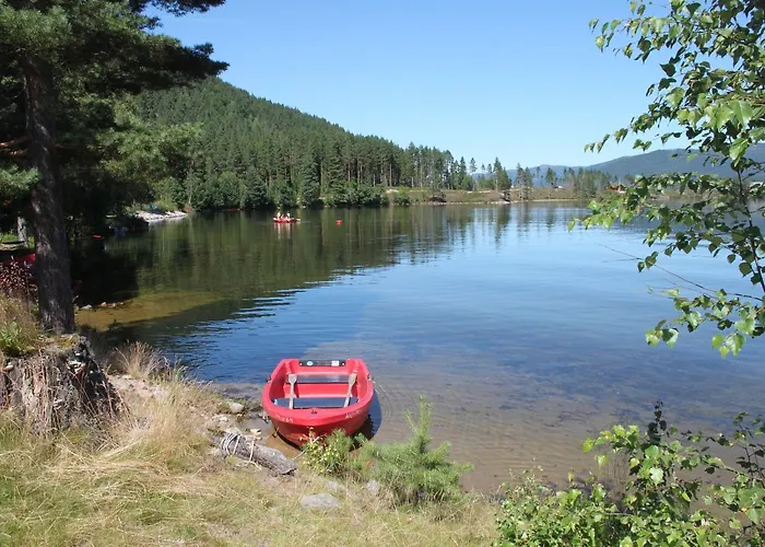 Nisser Hyttegrend Og